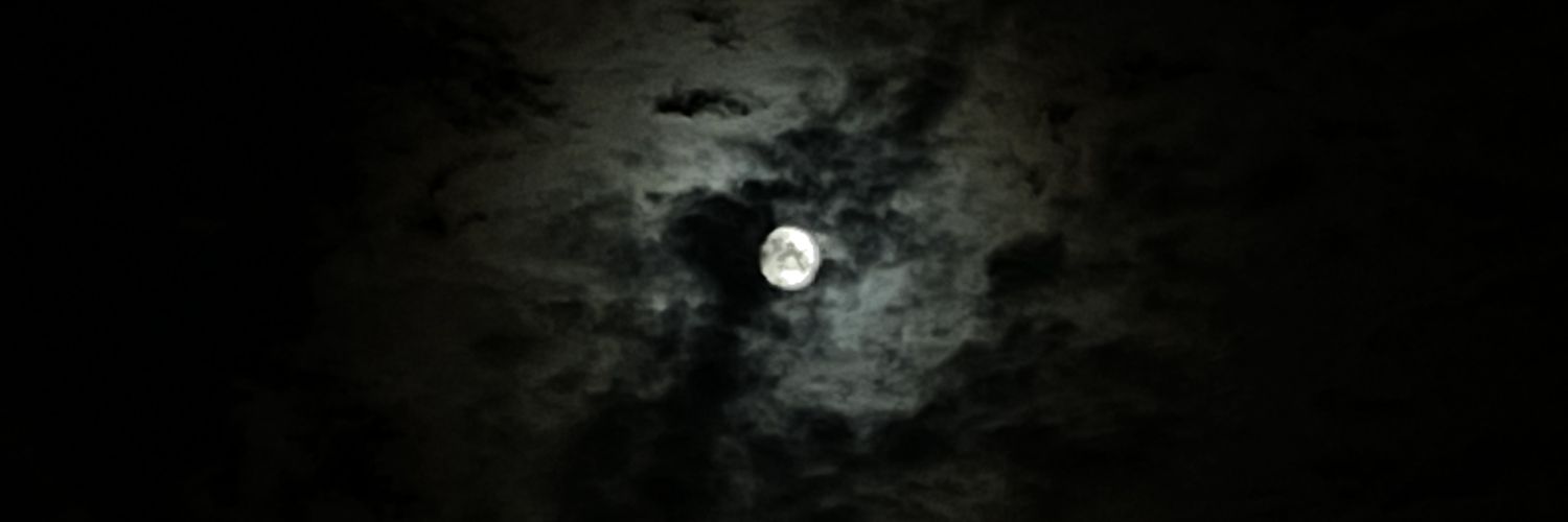 Floweroze's profile banner image