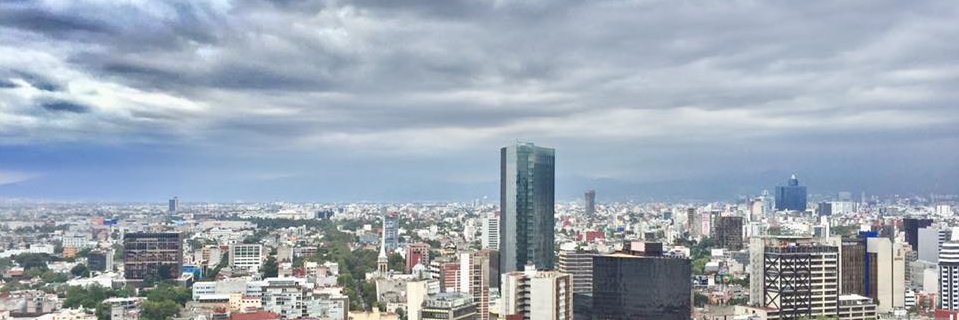 Alcira Gomez Heneidi banner