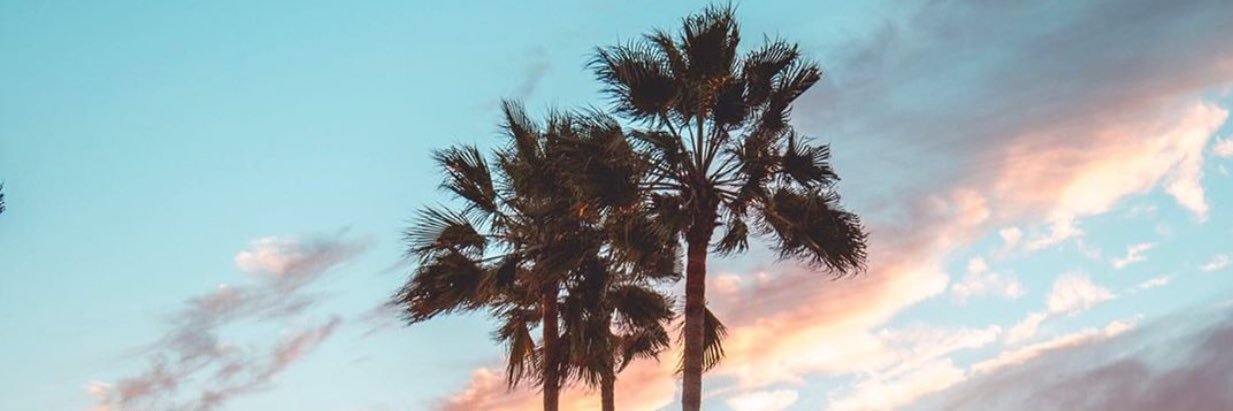 Shadia banner