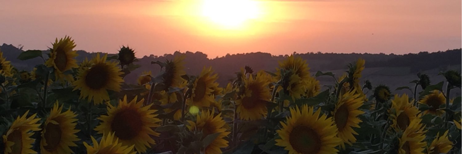 CatMcCleave's profile banner image