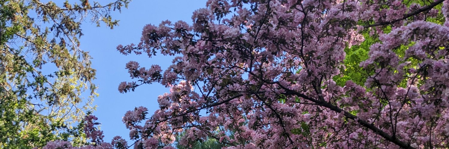 MorganneL4's profile banner image