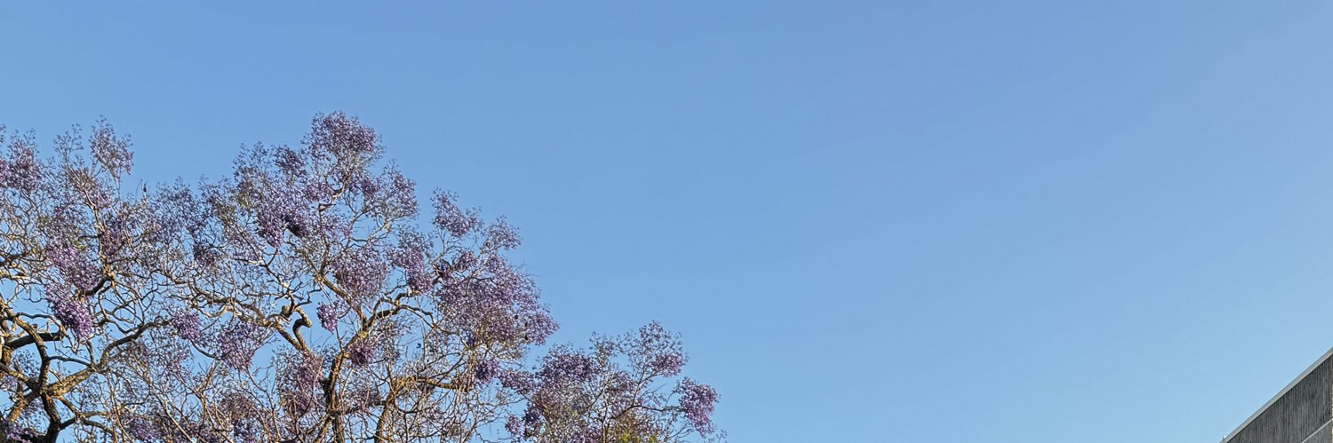 rafialisyah's profile banner image