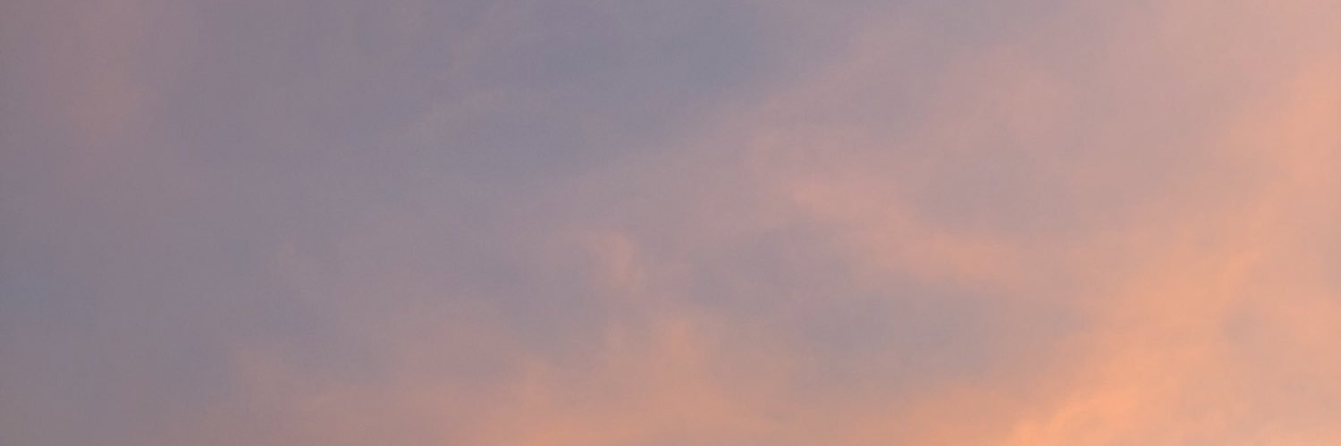 allafacedelcazz's profile banner image