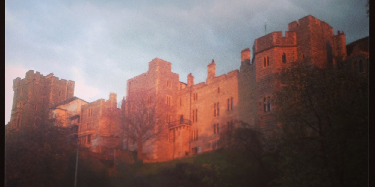 Nina Rahmatallah banner