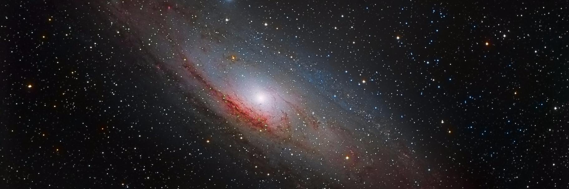 tylerhamsen's profile banner image