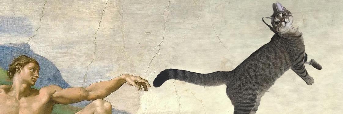 Jane banner
