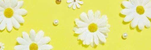 𝑴𝒊𝒅𝒐 banner