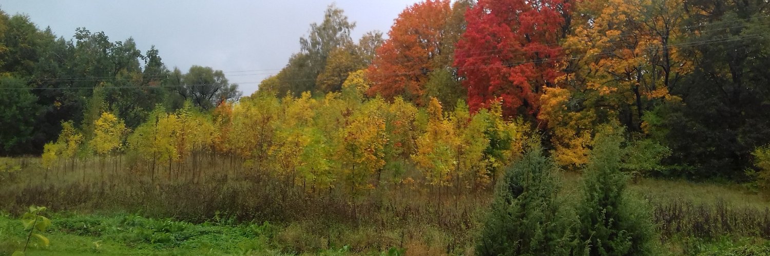 Gedasss_18's profile banner image