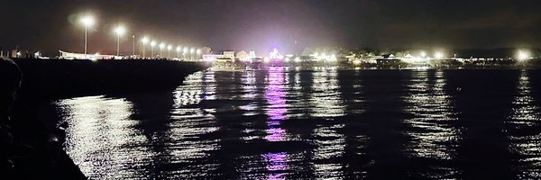 L3mino Profile Banner