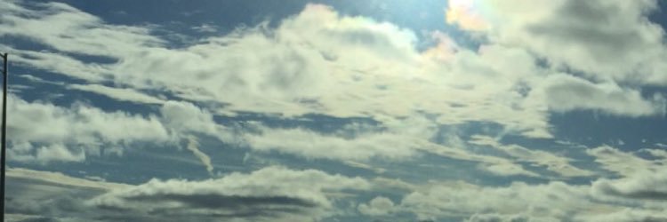 megjean9's profile banner image