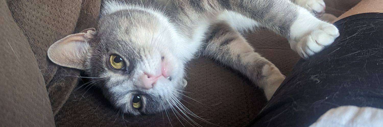 supporter of democracy banner