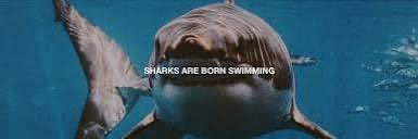 Brock Shoffner banner