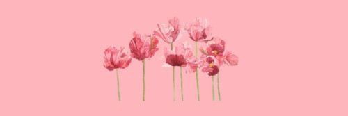_MissPinkLady_'s profile banner image