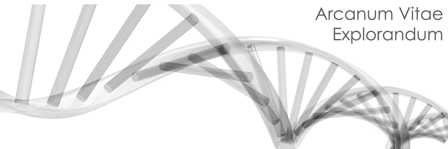 Christian Schaaf banner