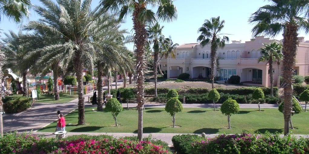 Dralfaraj_a's profile banner image