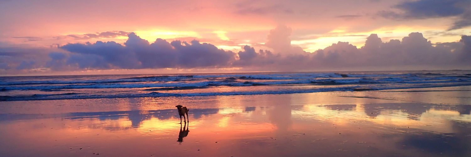 Make Them All Trips of a Lifetime banner