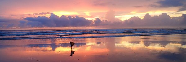 ThemTrips Profile Banner