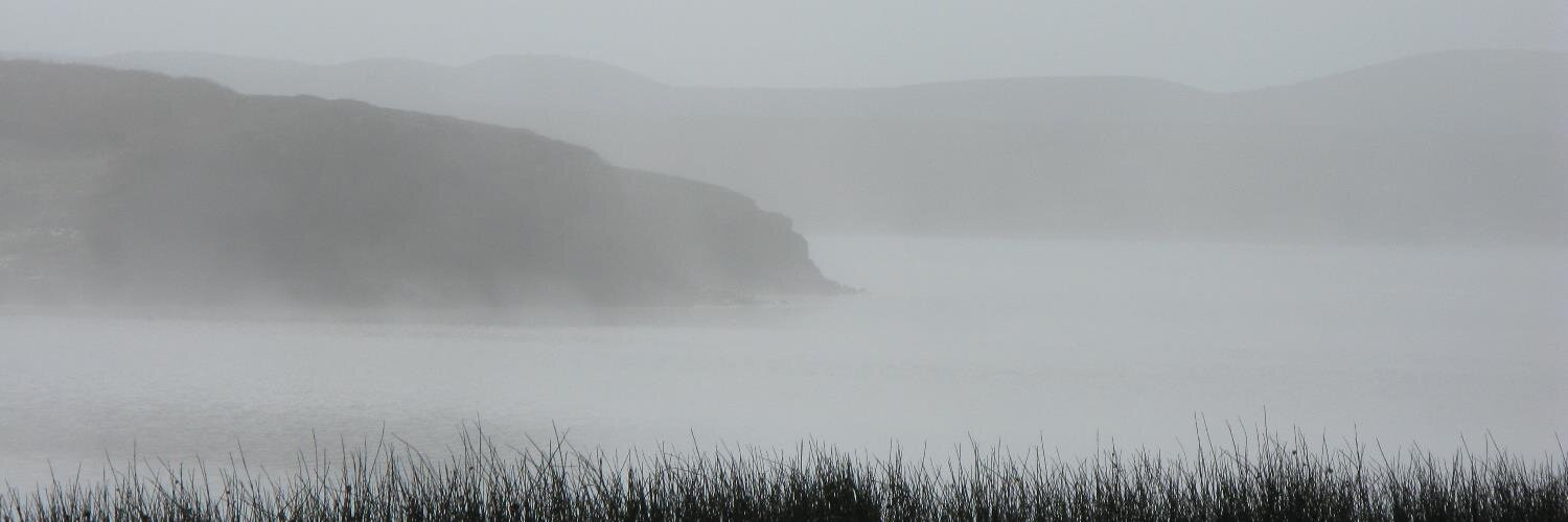 Gary Burtless banner