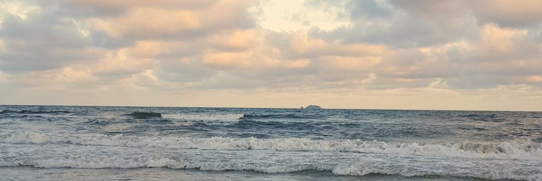 isacorso_'s profile banner image