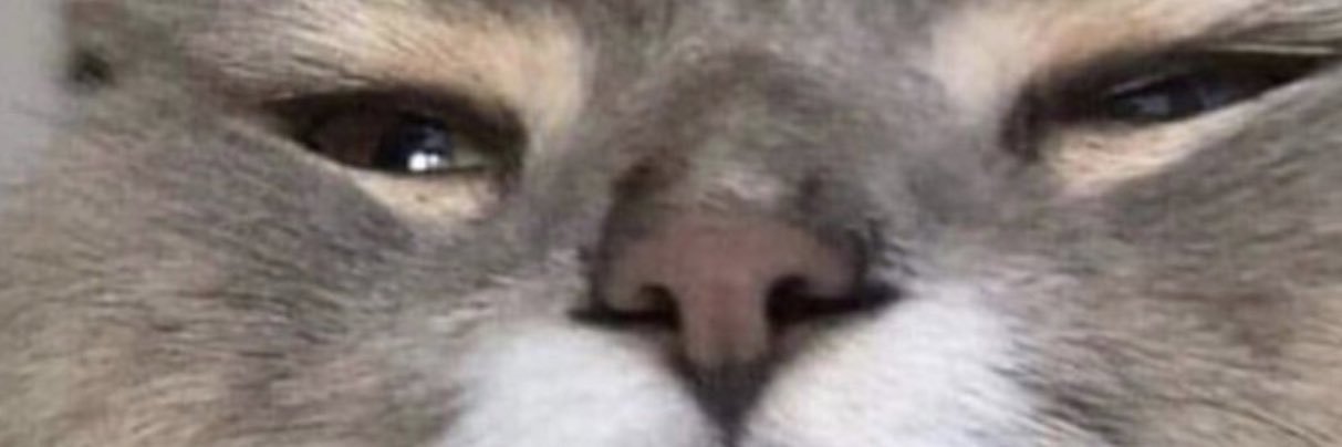 TheJoe4Kewl's profile banner image