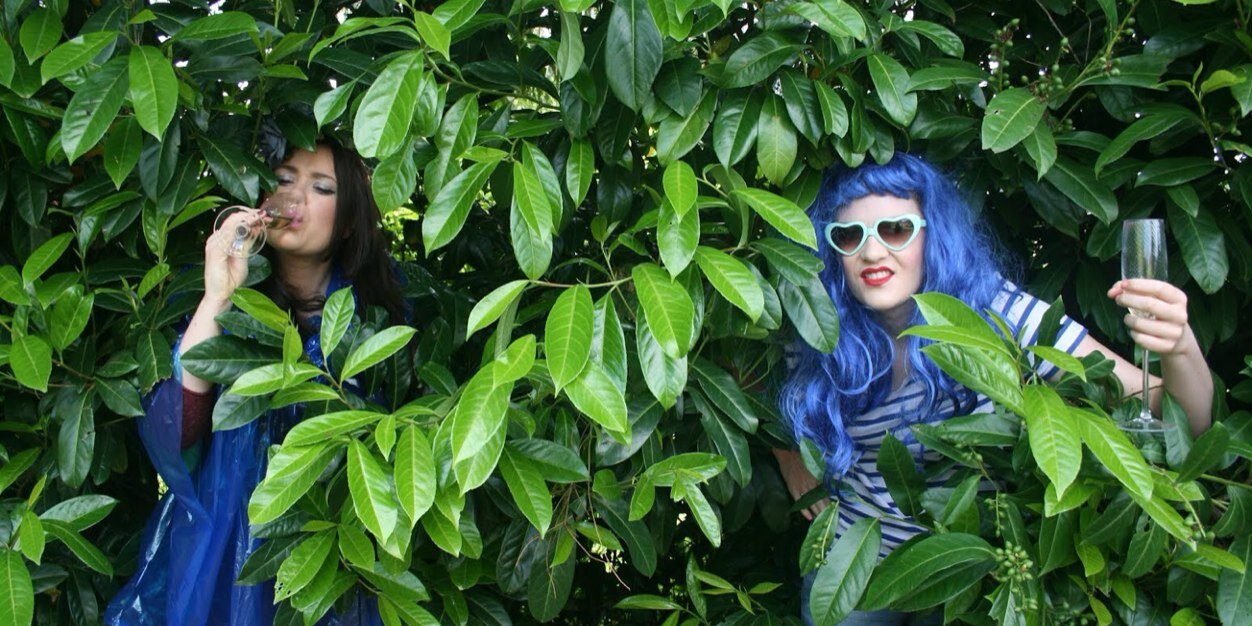 TheBlueTits's profile banner image