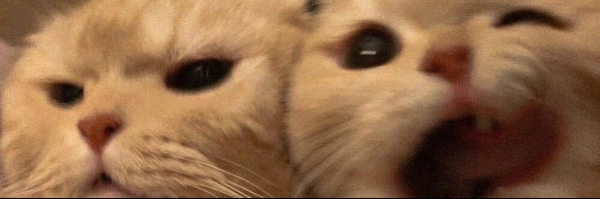 Nurcastle's profile banner image