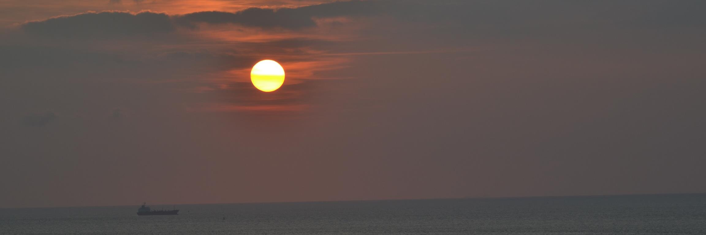 Peter Ploegaert banner