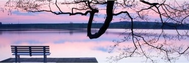 shiftfrequency's profile banner image