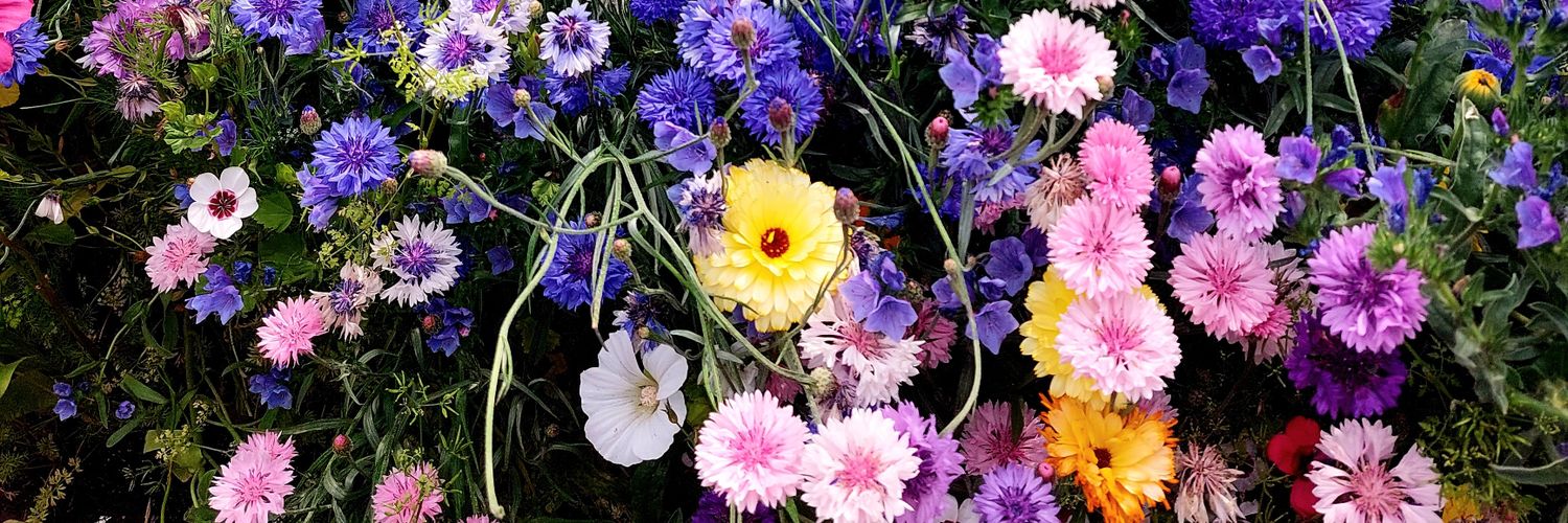 💛💫Jen 💫💛 banner