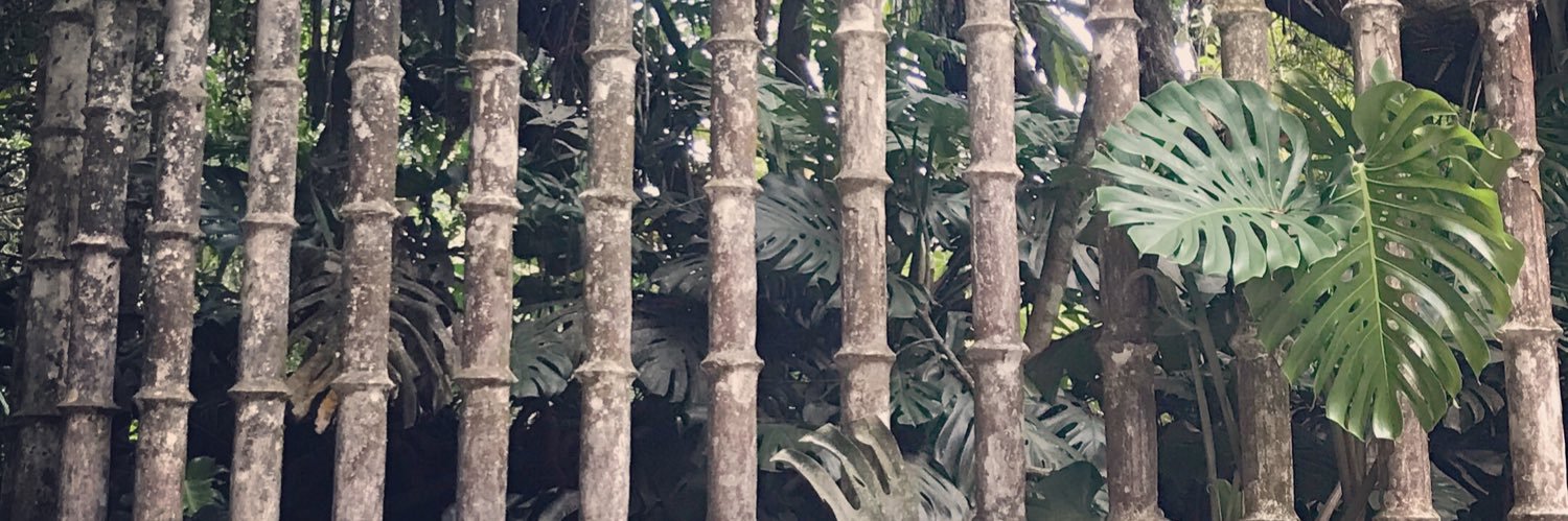 martiimh's profile banner image