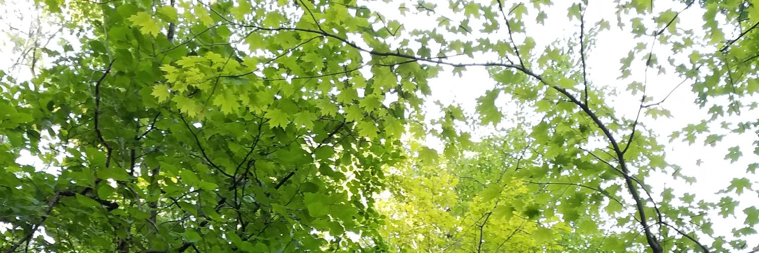 effemeris's profile banner image