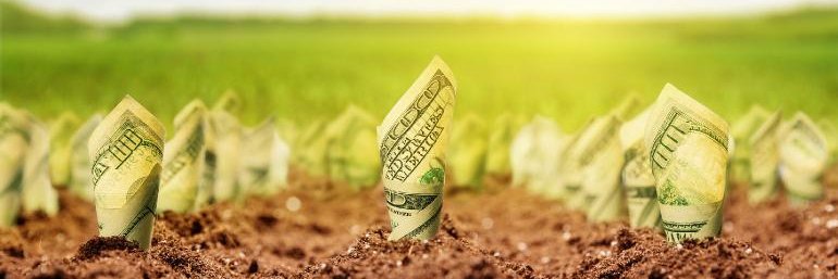 BoozeNBiscuits🌦️ banner