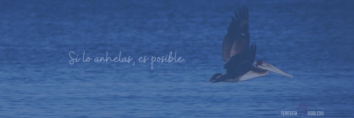 Teresita Robledo (Ella, She, Her) banner