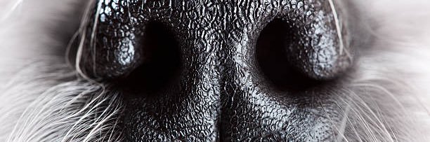 jasethedoctor's profile banner image
