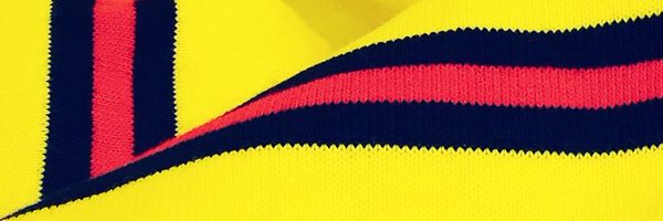 1HHornet Profile Banner