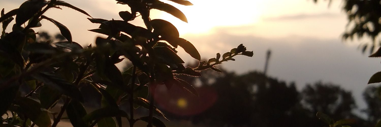 buuaahh's profile banner image