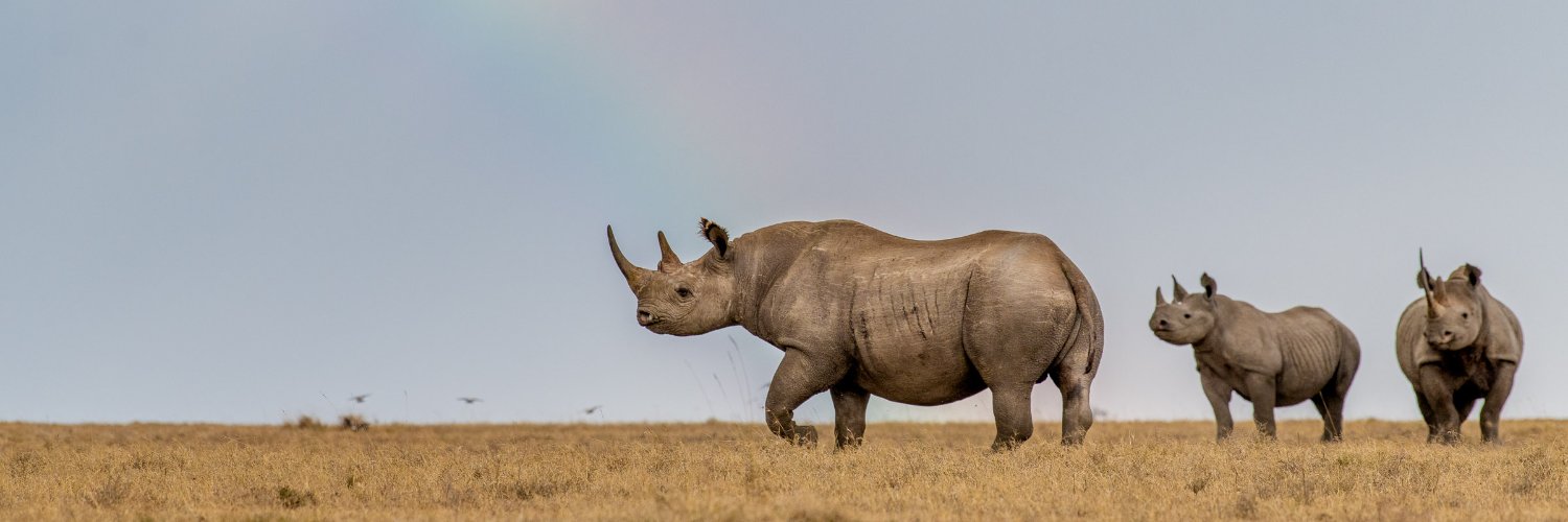 Peter Esegon Ol Pejeta Conservancy banner