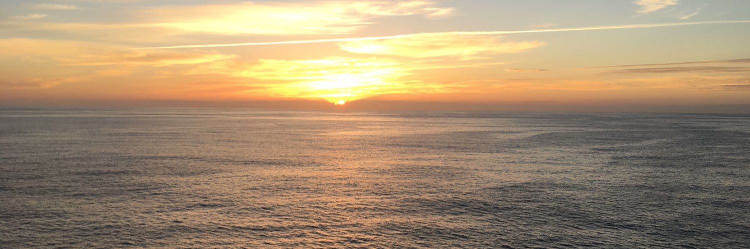 annscott2's profile banner image
