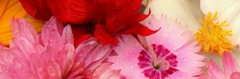 cathygb's profile banner image