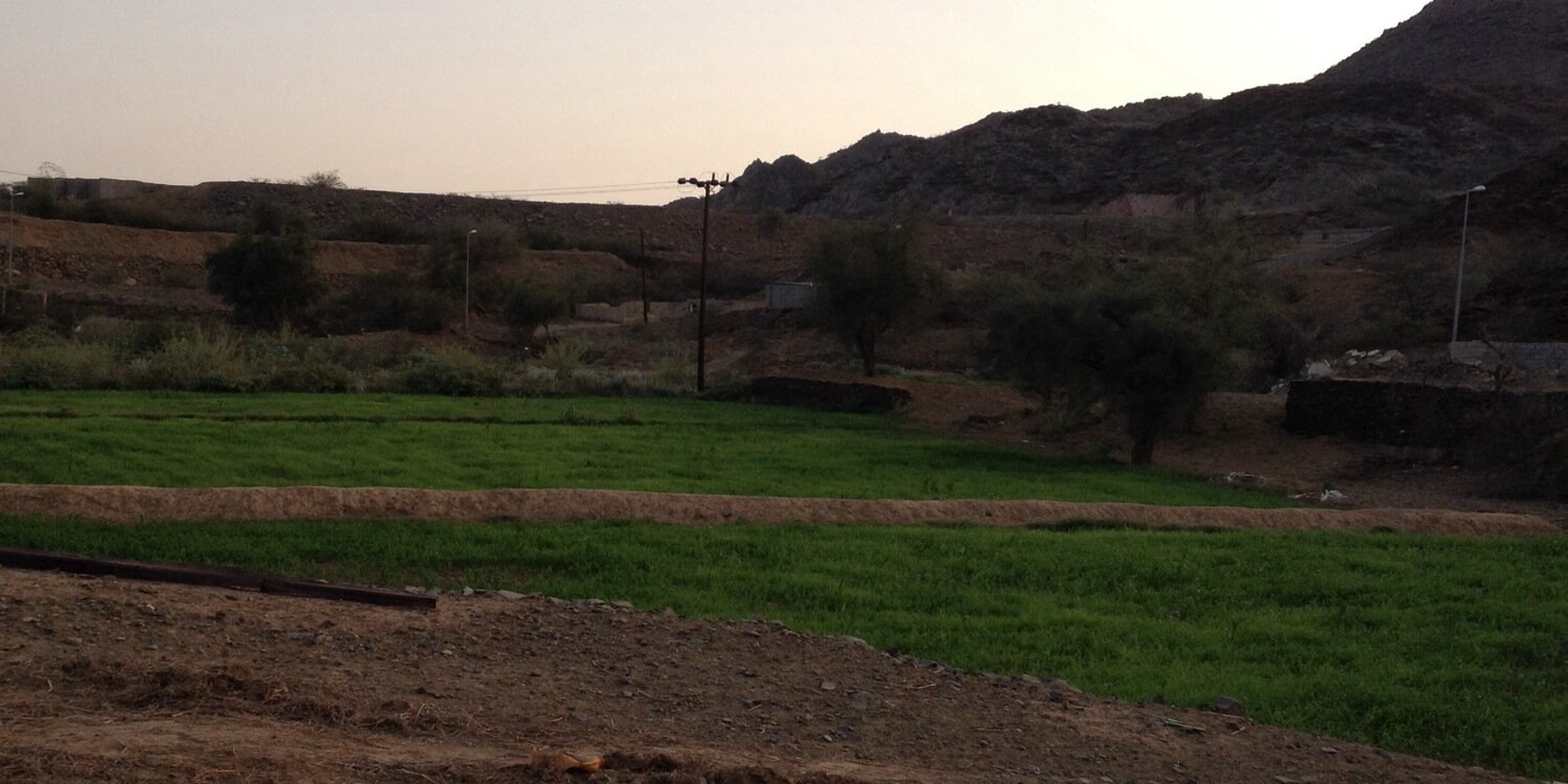 habesh77's profile banner image