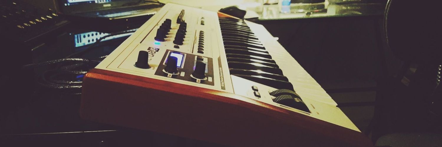 thelandsandgrooves banner