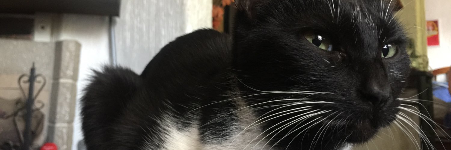 __jvvi's profile banner image