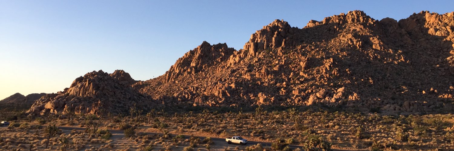 sofia paderes banner