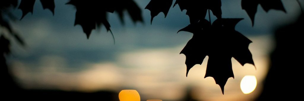 CarmenCassa's profile banner image