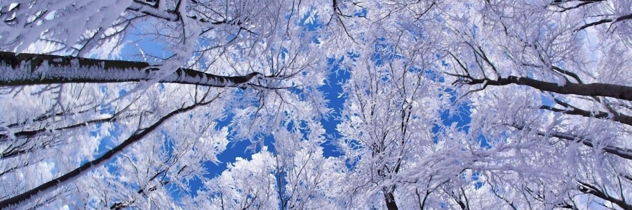 JillBaechle's profile banner image