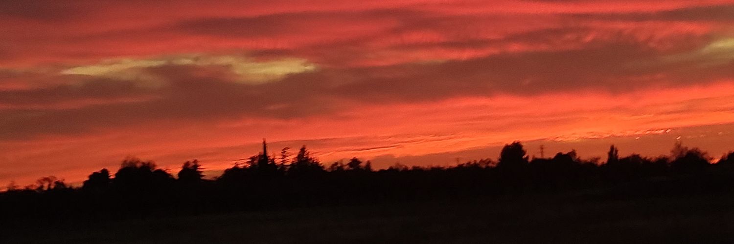 criiis_2's profile banner image