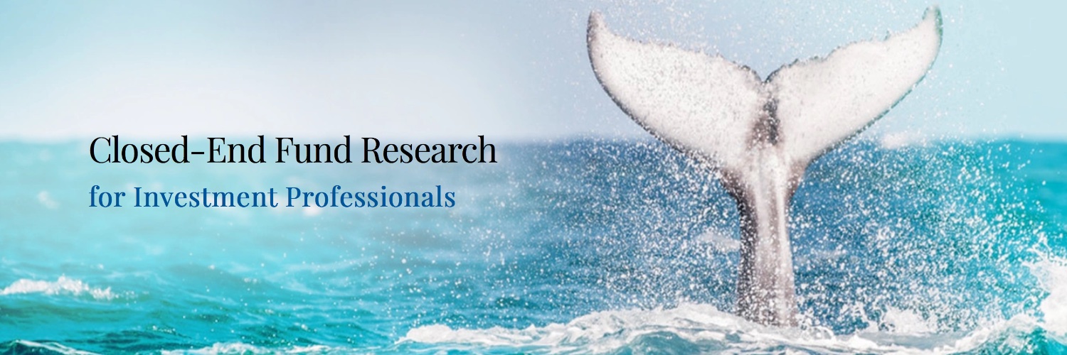 Bigg Whale banner