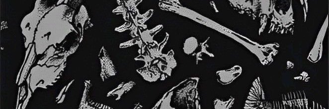 lxuztar's profile banner image