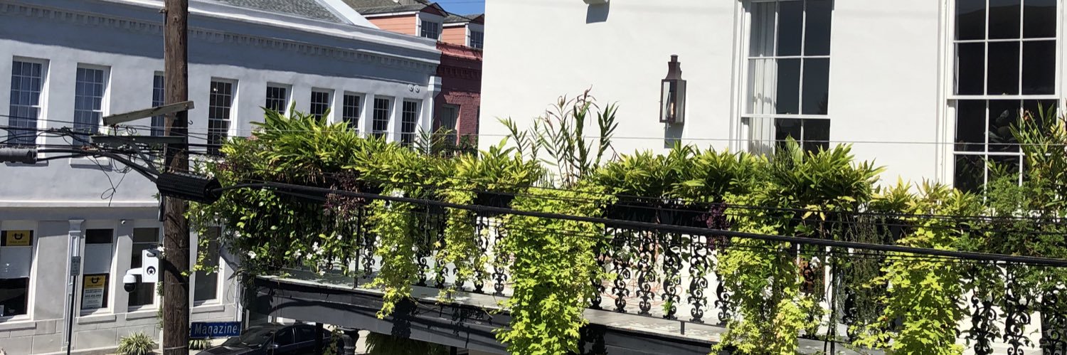 hailey_n_'s profile banner image
