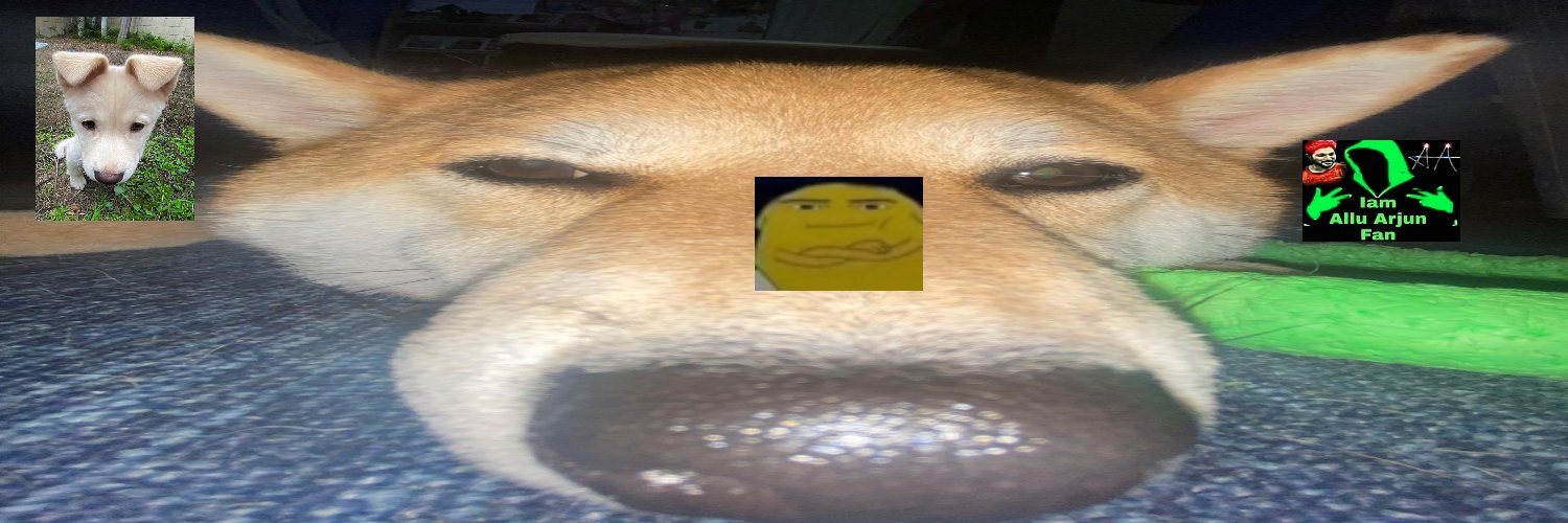speccXD's profile banner image